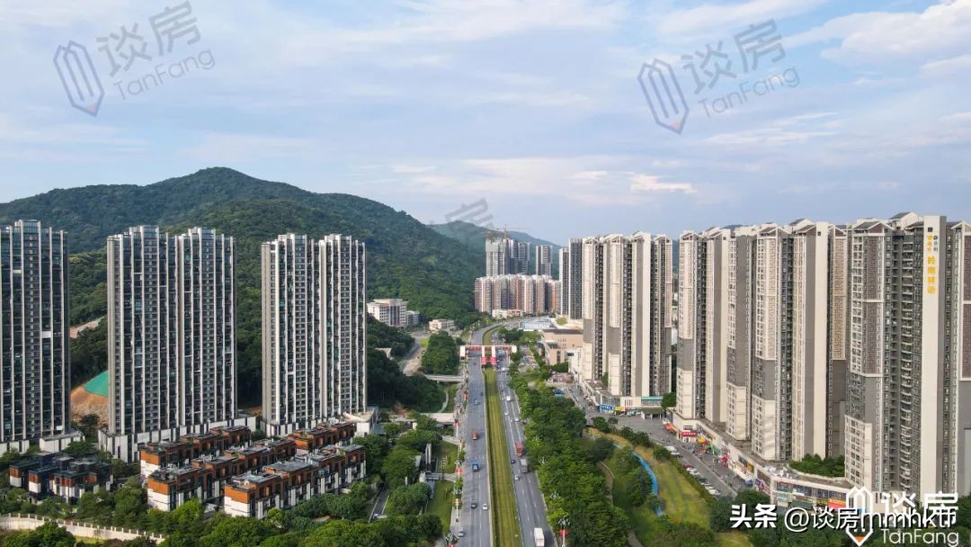 长岭雅居零网签原因,长岭雅居开盘时间