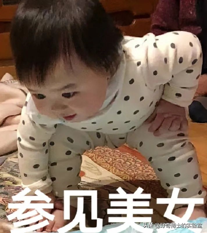 女生为什么一定要学会做饭,女生为什么一定要学会做饭做家务
