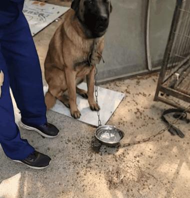 电动车座莫名“遇难”，看到凶手立刻懂了！谢谢你没把车全拆了