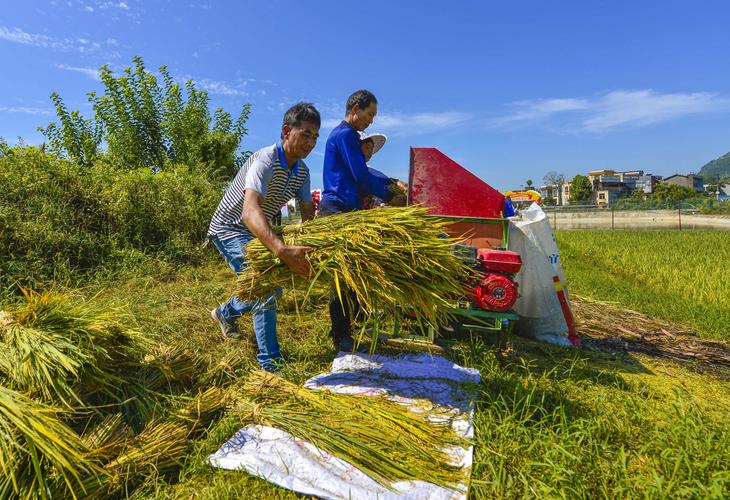 韩国的养老移民,韩国如何解决养老问题
