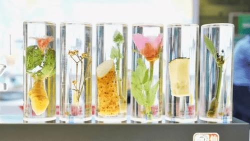 商丘仲景健康节,2023春季医圣仲景健康节