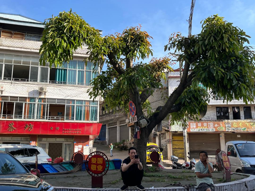 欢迎来到宜宾“北大门”！孔滩