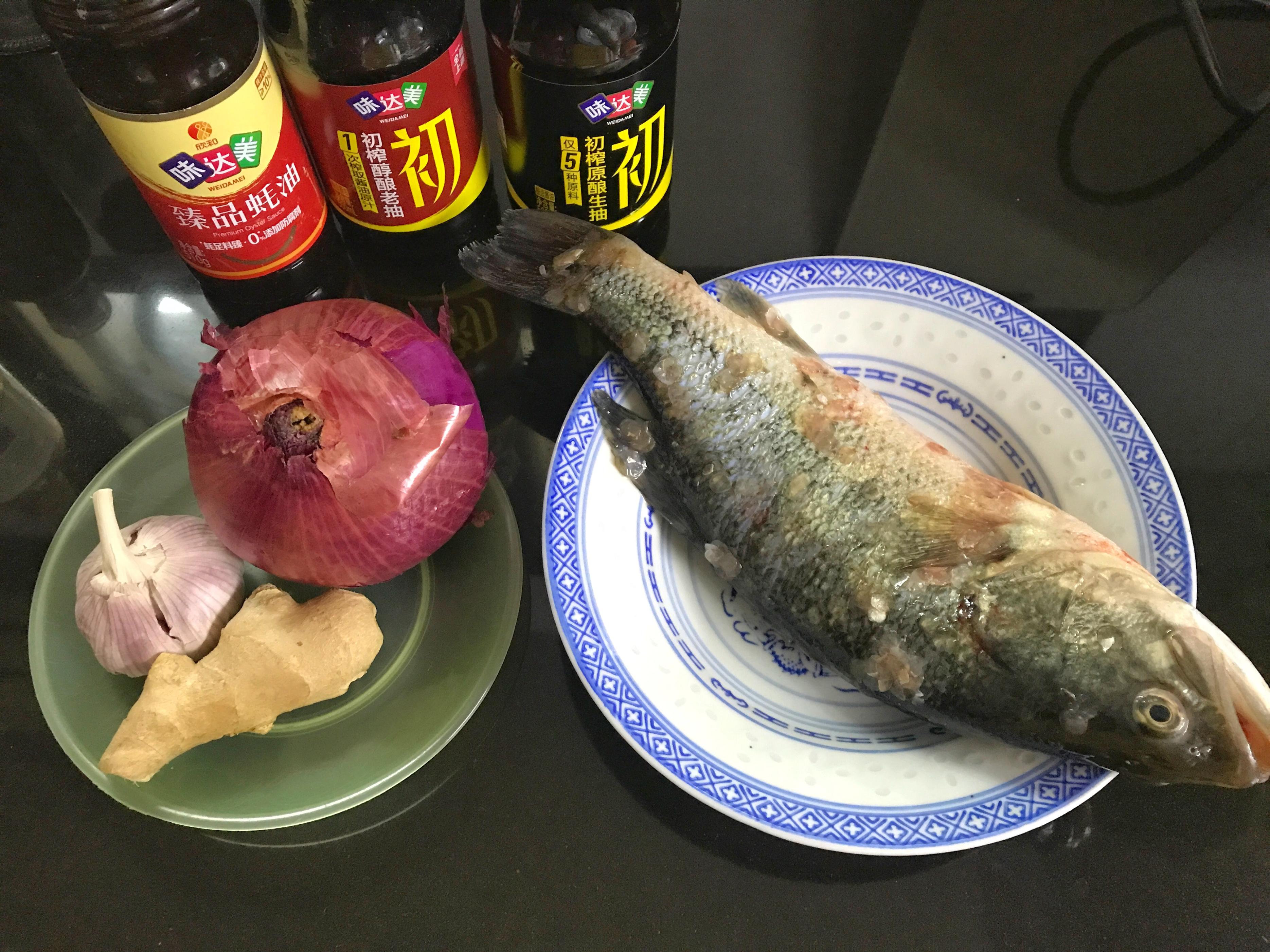 淡水鱼什么鱼最好吃最有营养刺少,十大美味淡水鱼排名抗浪鱼