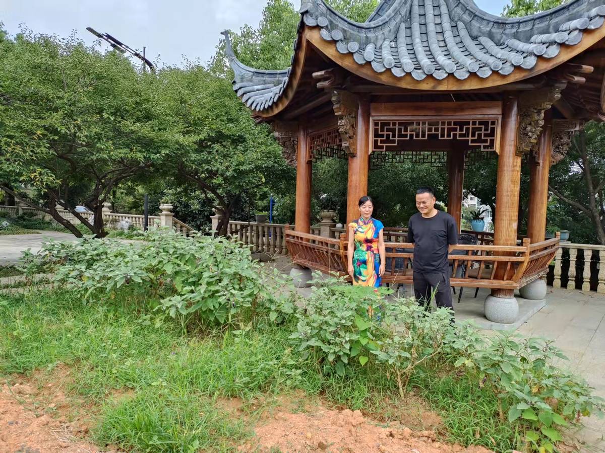 无疾”文化牵主线精神家园展新姿