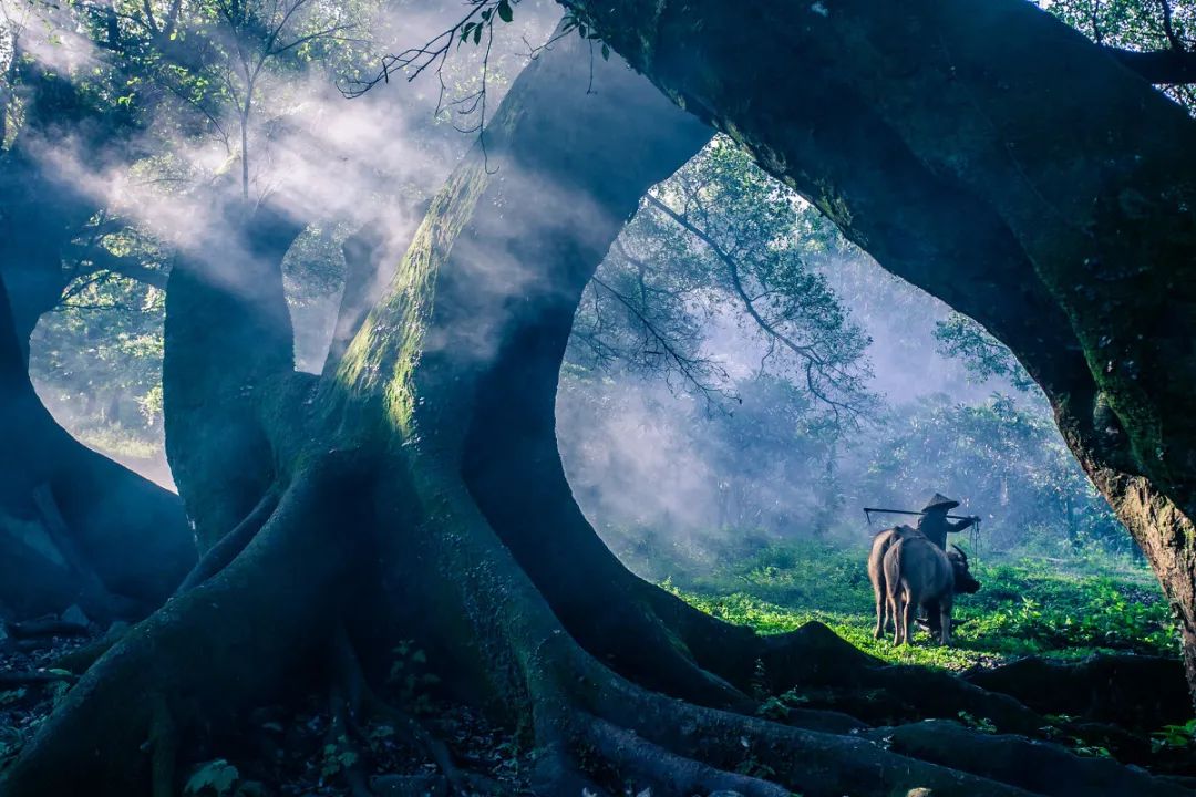 宁德摄影人的好去处,宁德摄影圣地