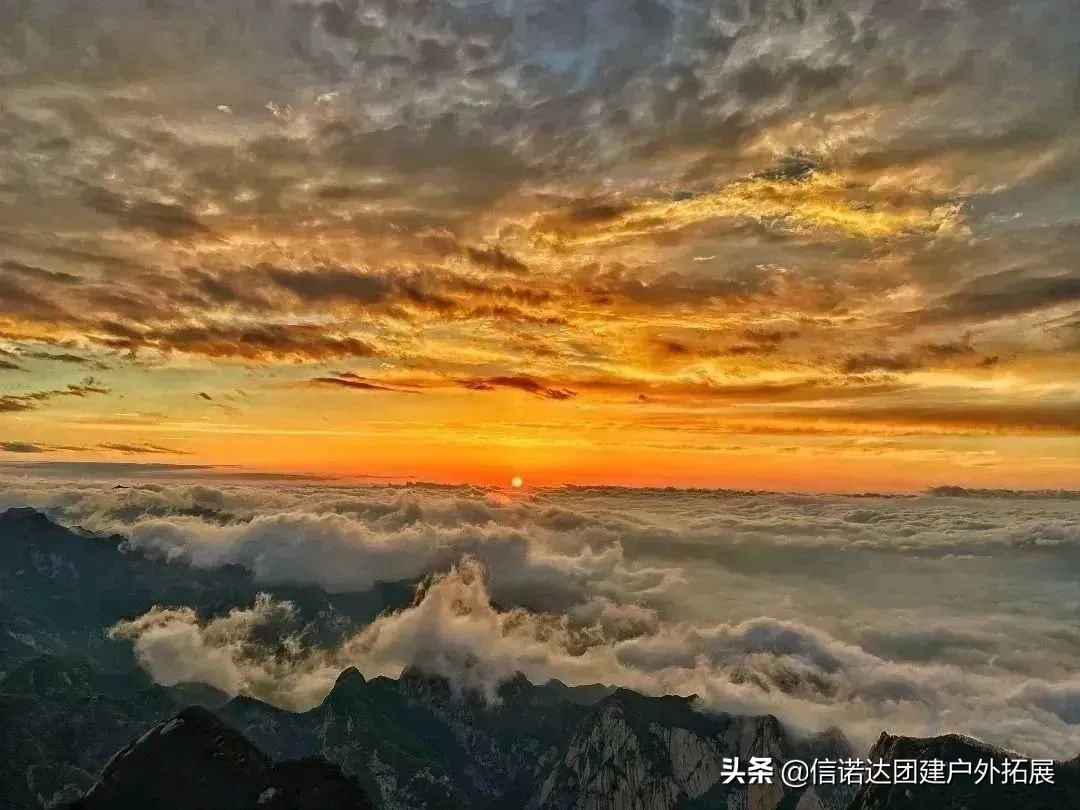 七月华山，免门票，走……一起趣打卡吧