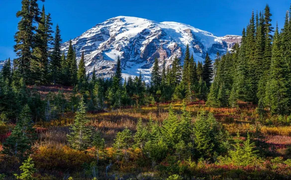 心理学有趣的小法则,三个心理学小技巧交给你