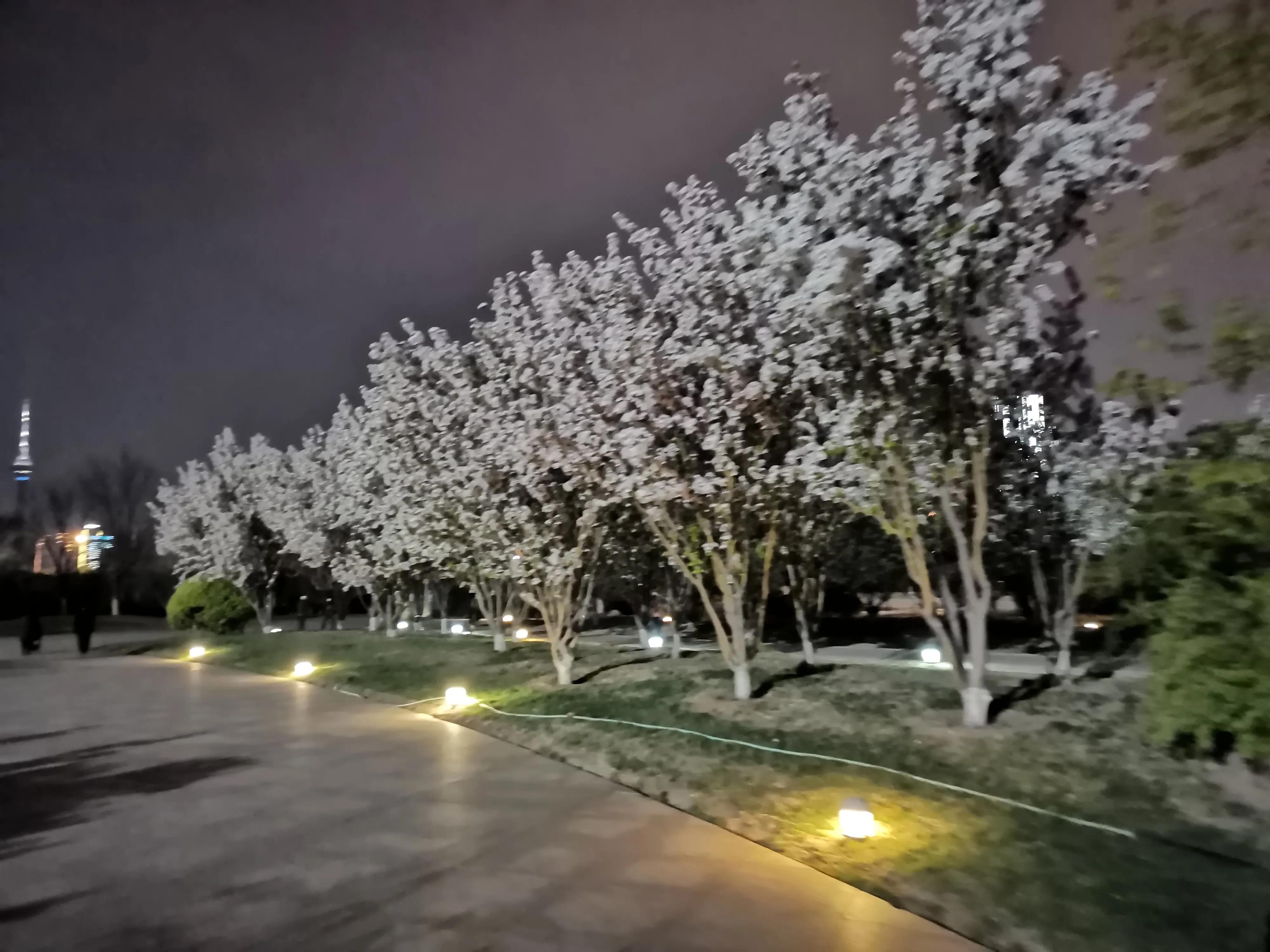 天津银河广场营业时间,天津银河广场海底世界