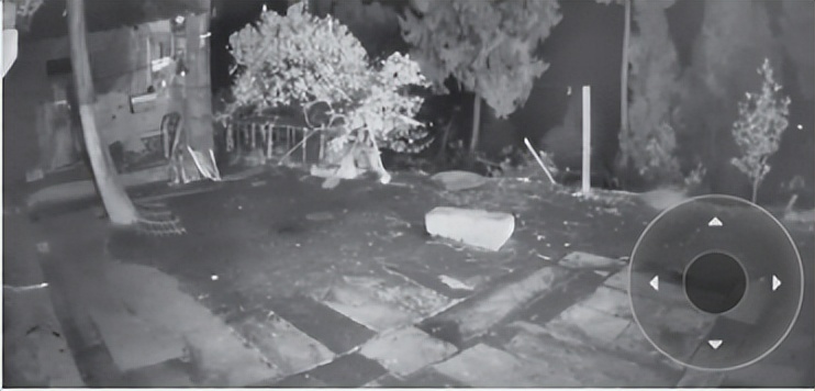 tplink萤石猫眼摄像头哪个好,tplink与萤石云摄像头对比