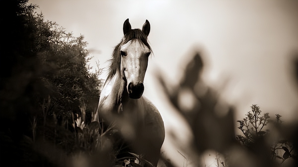 好听的广场舞歌曲精选,好文分享主题