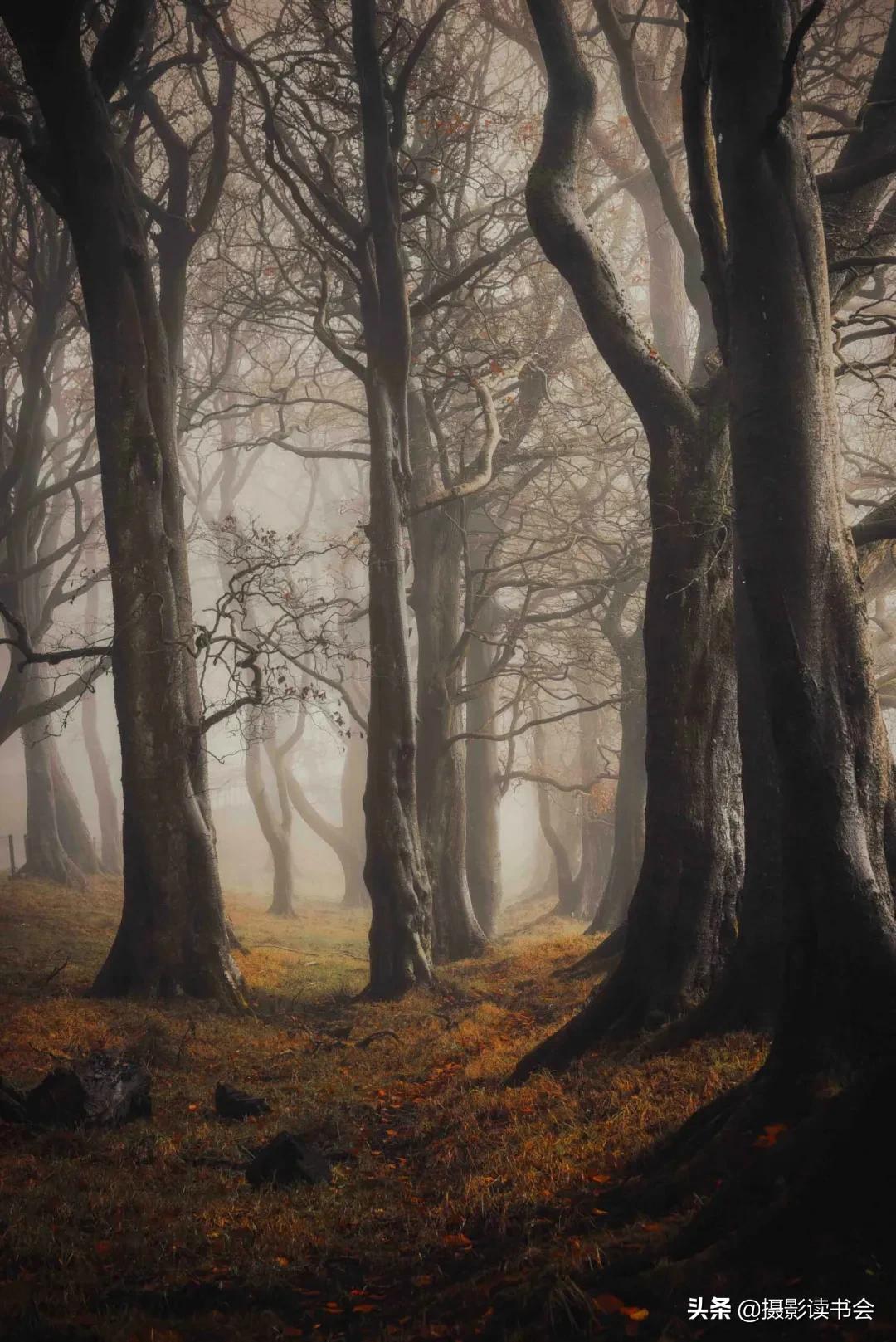 风光摄影需要后期吗,风光摄影必须正确曝光吗