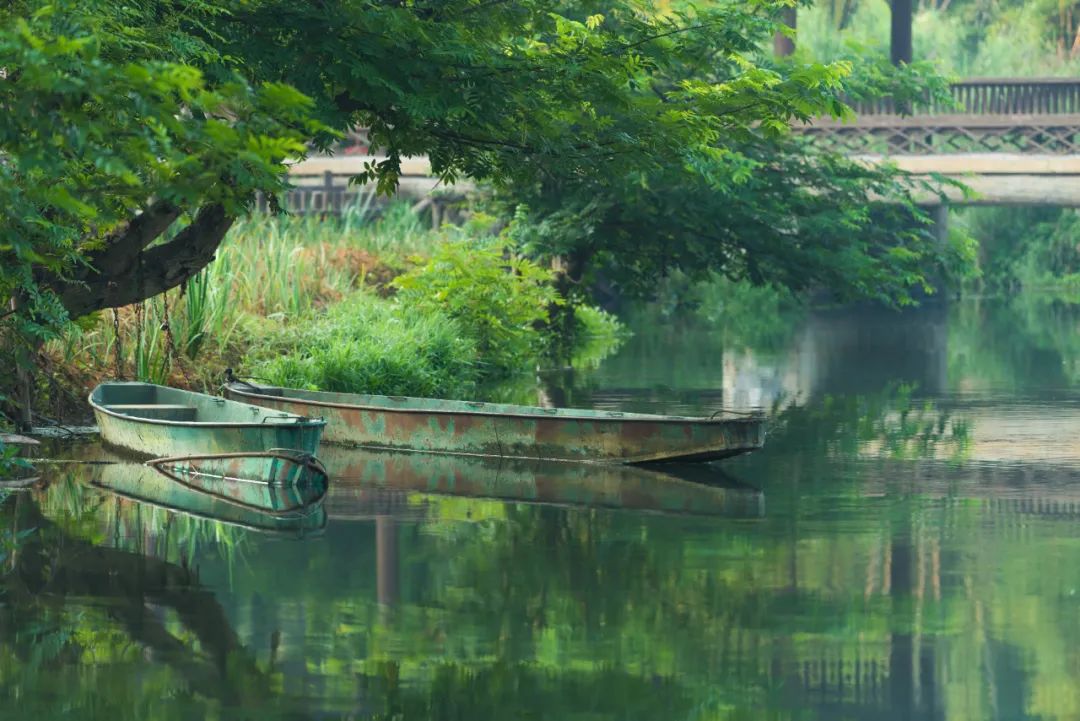 打飞的都要去坐的动车,怎么每站都这么好看