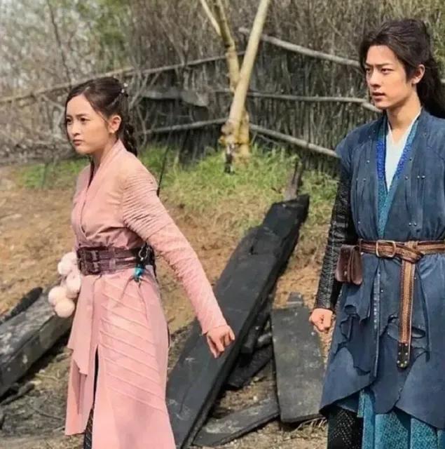 演4部剧，收入上亿元，日收入30万以上，娱乐圈的豪，无人可知