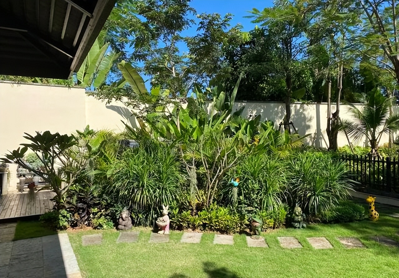 庭院种植满树花好不好风水,农村小院栽什么树旺宅