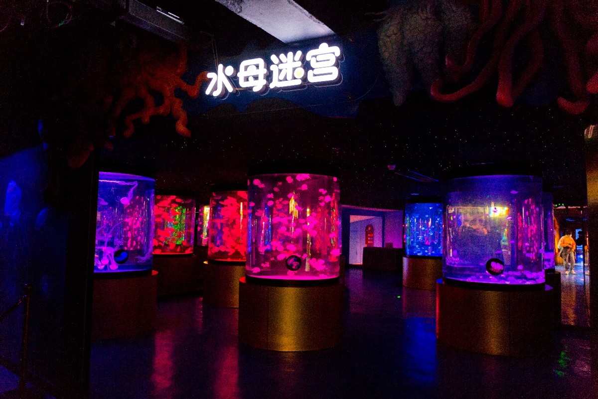 深圳观澜亲子游十大排行榜,深圳周边儿童好玩的海洋世界推荐