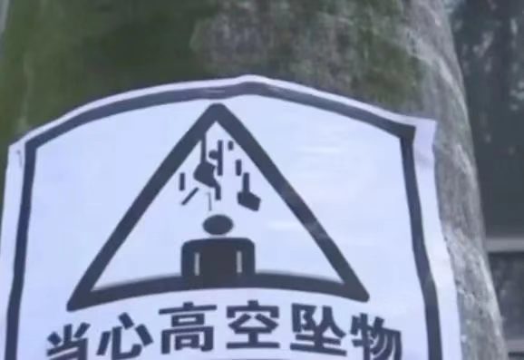 在广西，你永远不知道天上会掉下来什么