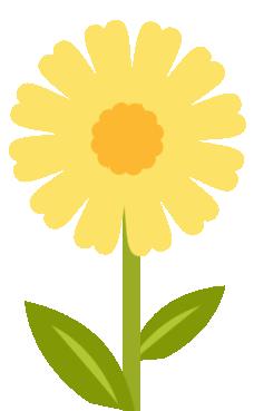 香港新晋的明星,现身厦门的香港明星