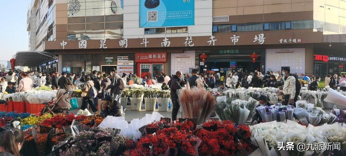 亚洲最大的鲜花鲜切花市场,亚洲最大的鲜花市场招商