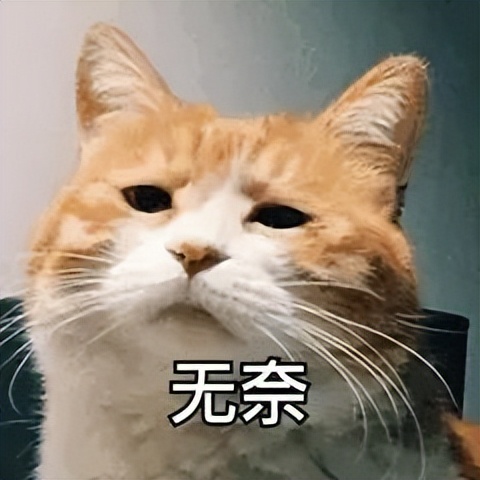 叫代驾遇上查酒驾是怎样的体验,找代驾遇到查酒驾这钱值不值