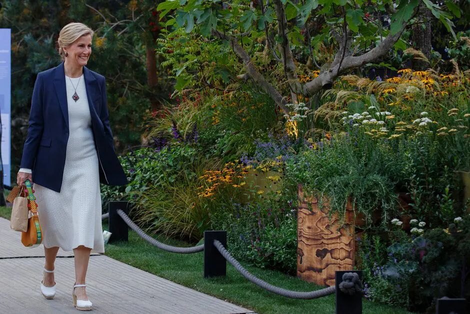 英国切尔西花展攻略,英国切尔西花展旅游策划