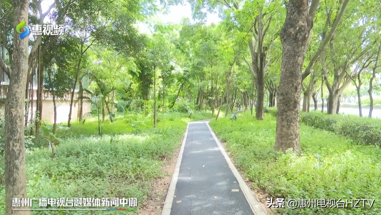 非洲大蜗牛出没雨后要小心