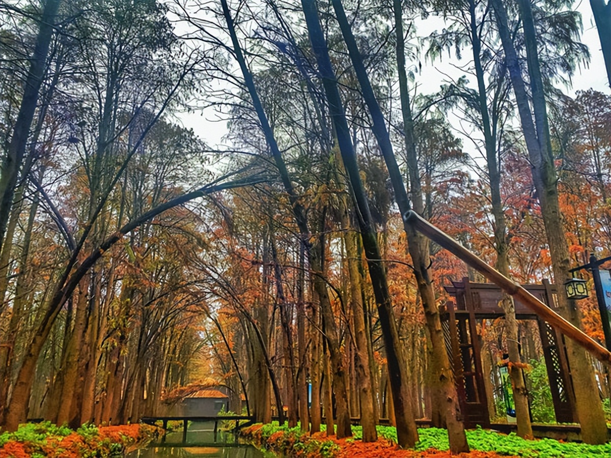 在江苏的“绿林仙海”中，寻找侠气与柔情