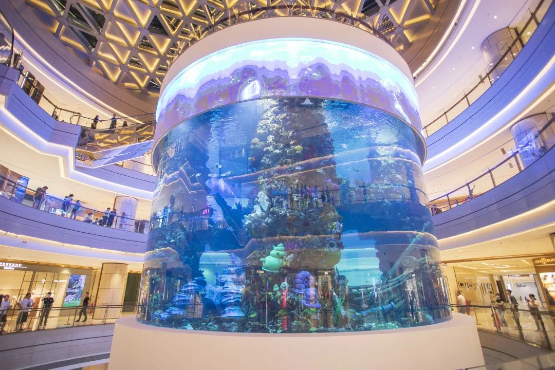 夜经济消费体验,体验夜生活