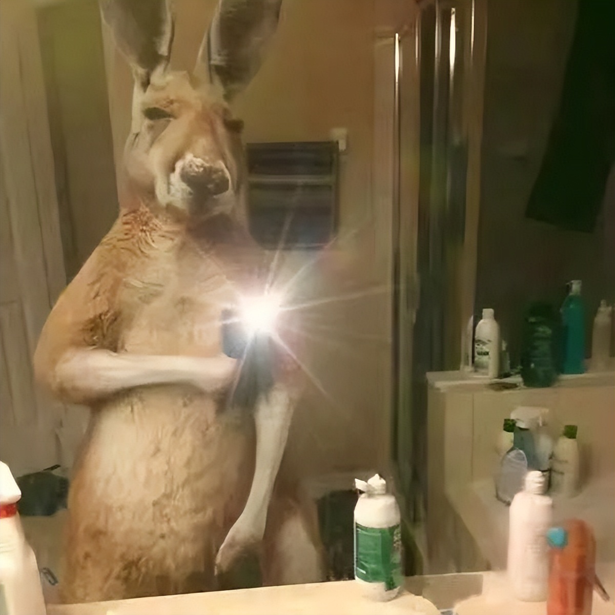 怎么一眼看出是不是留学生,如何能一眼辨认留学生