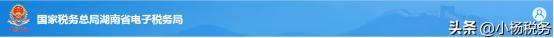 湖南税务局网上办税流程视频,青海省电子税务局办税操作流程