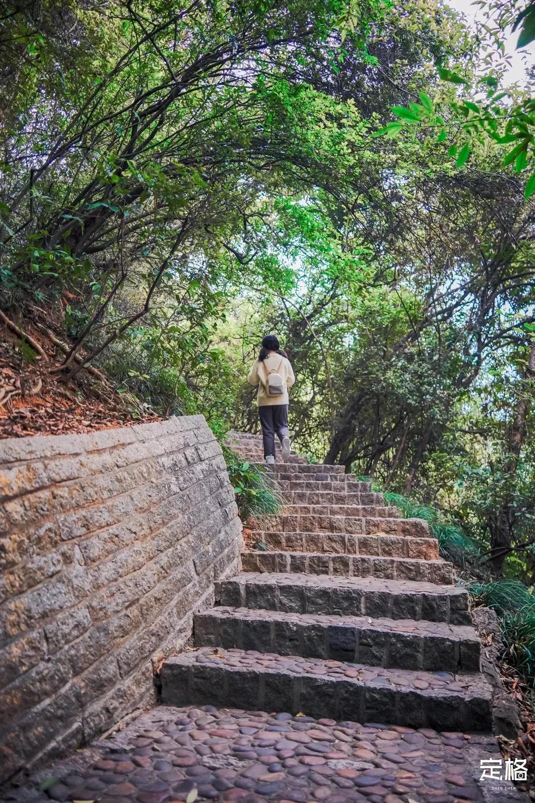 深圳最值得爬的景点,深圳十大最值得爬的山