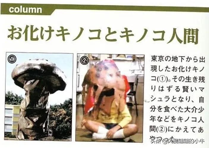 泰罗奥特曼tv版片段,泰罗奥特曼剧场版奥特物语