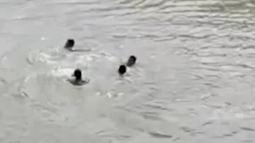 每日新闻早知道（20220629）