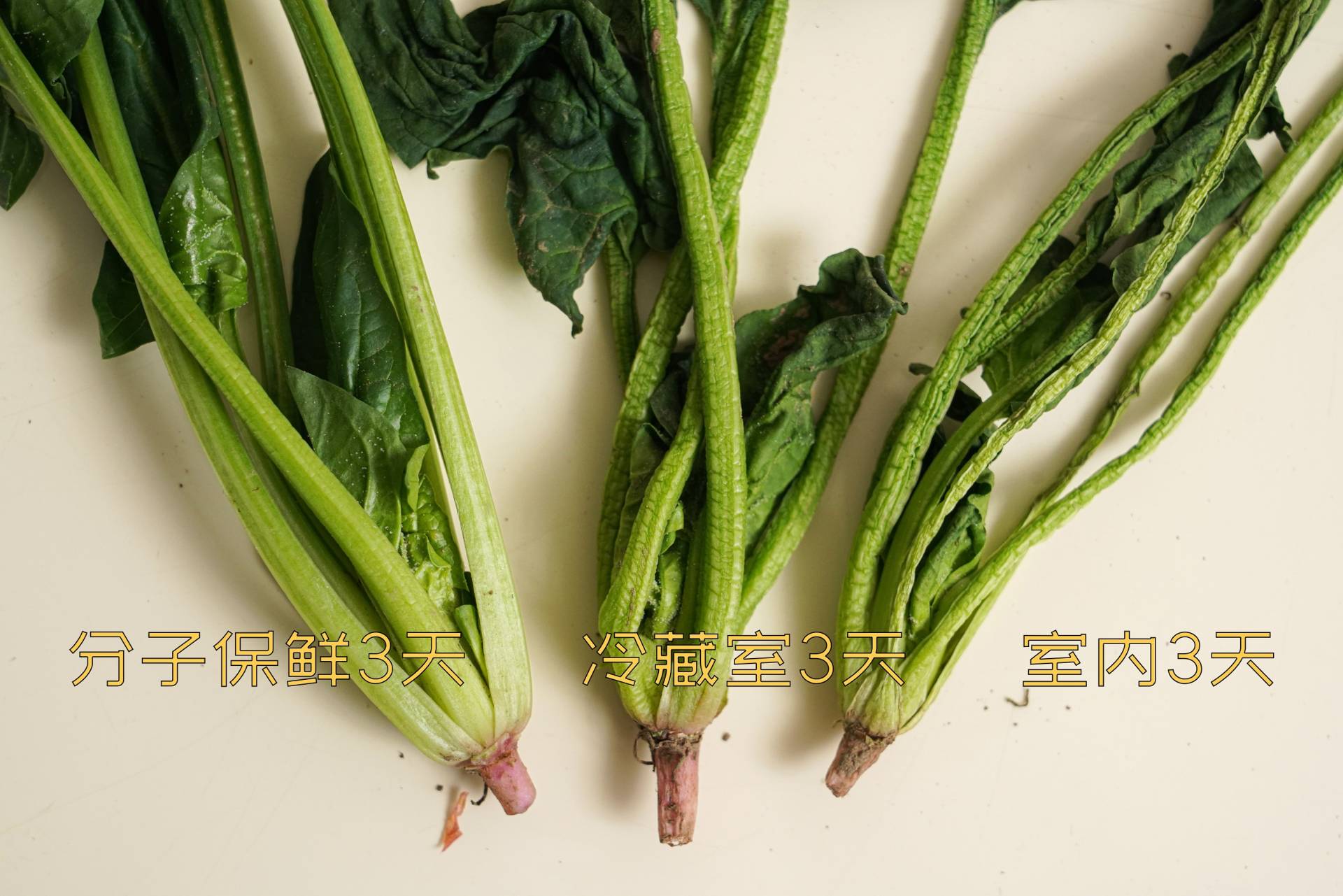 tcl格物冰箱q10评测,tcl格物q10拆解