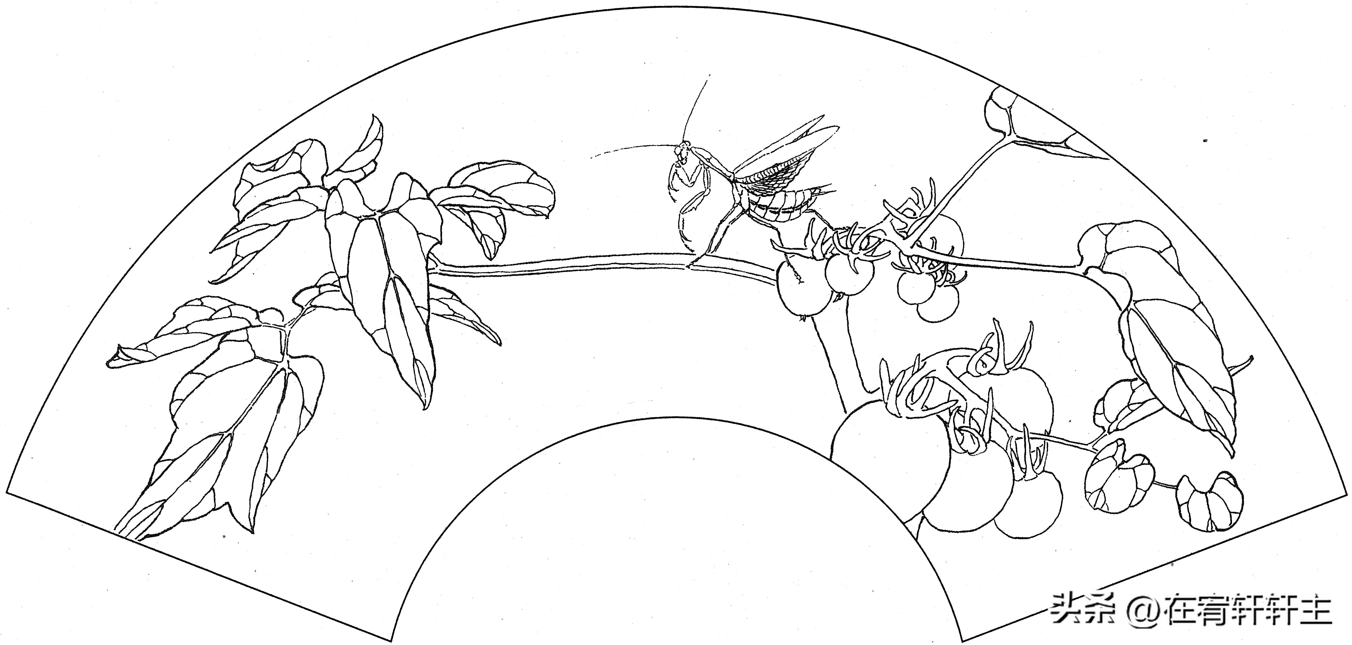 工笔白描祥云图案扇面,工笔扇面葡萄白描图片