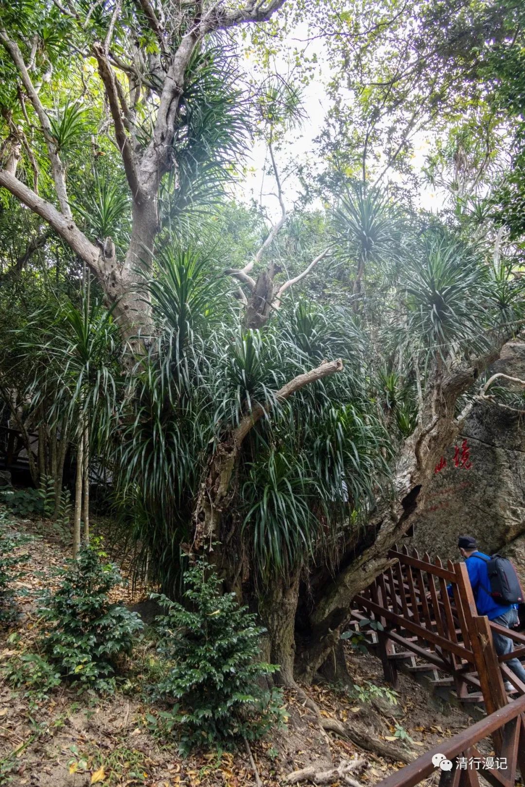 海南大小洞天代步攻略,海南的大小洞天