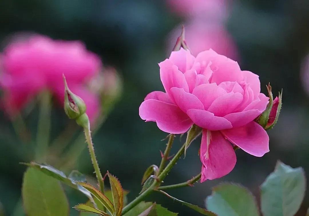 人民日报教你十个实用存款技巧,一个正确存钱方法和四个存款陷阱