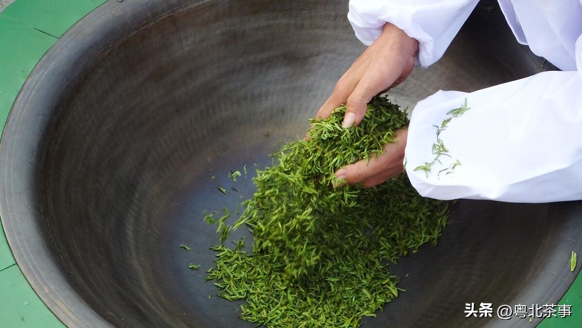 观音茶手工制茶和机器制茶的区别,手工制茶和人工制茶的区别是什么