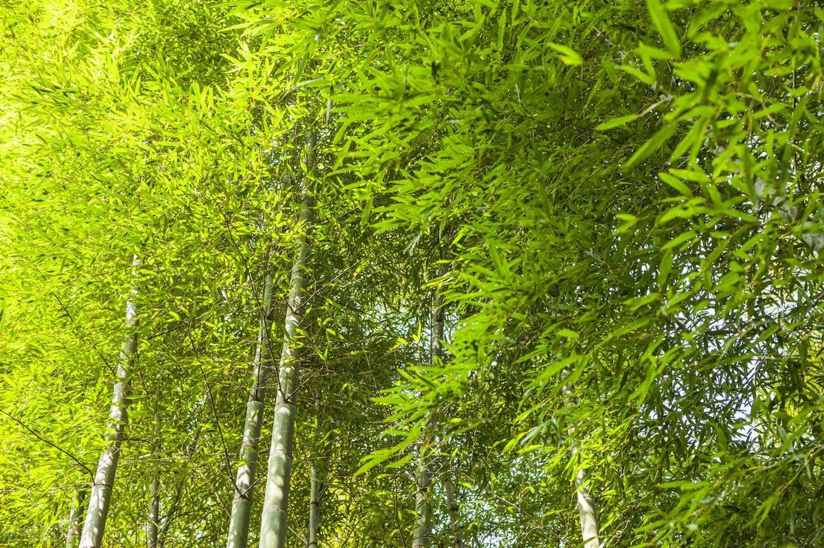 看看这篇文章，“换轴转筒”，提升认知高度