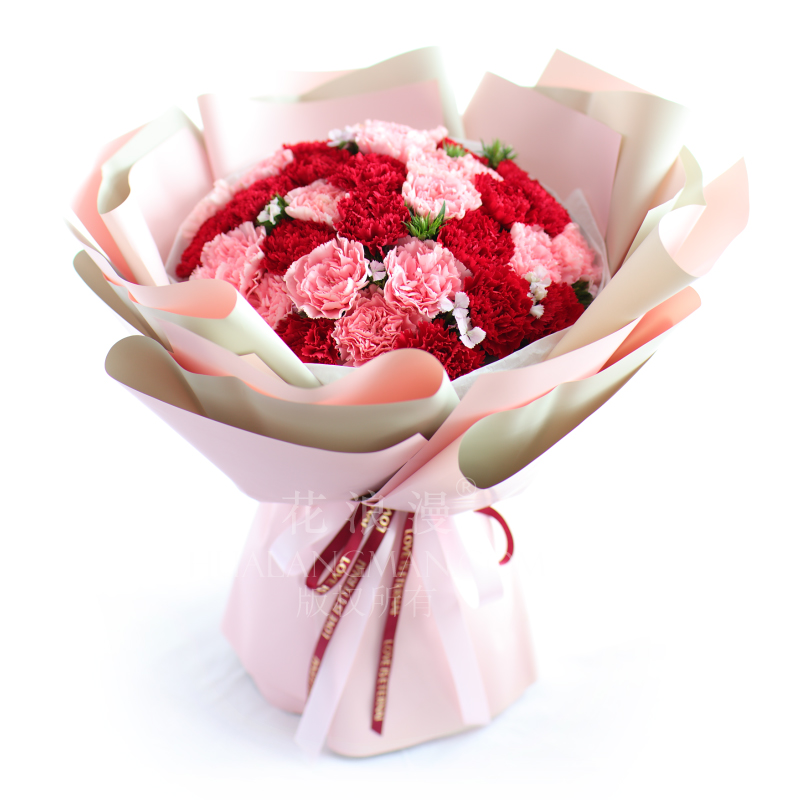 母亲节别人送康乃馨怎么养才能活,母亲节没有康乃馨怎么办买什么花