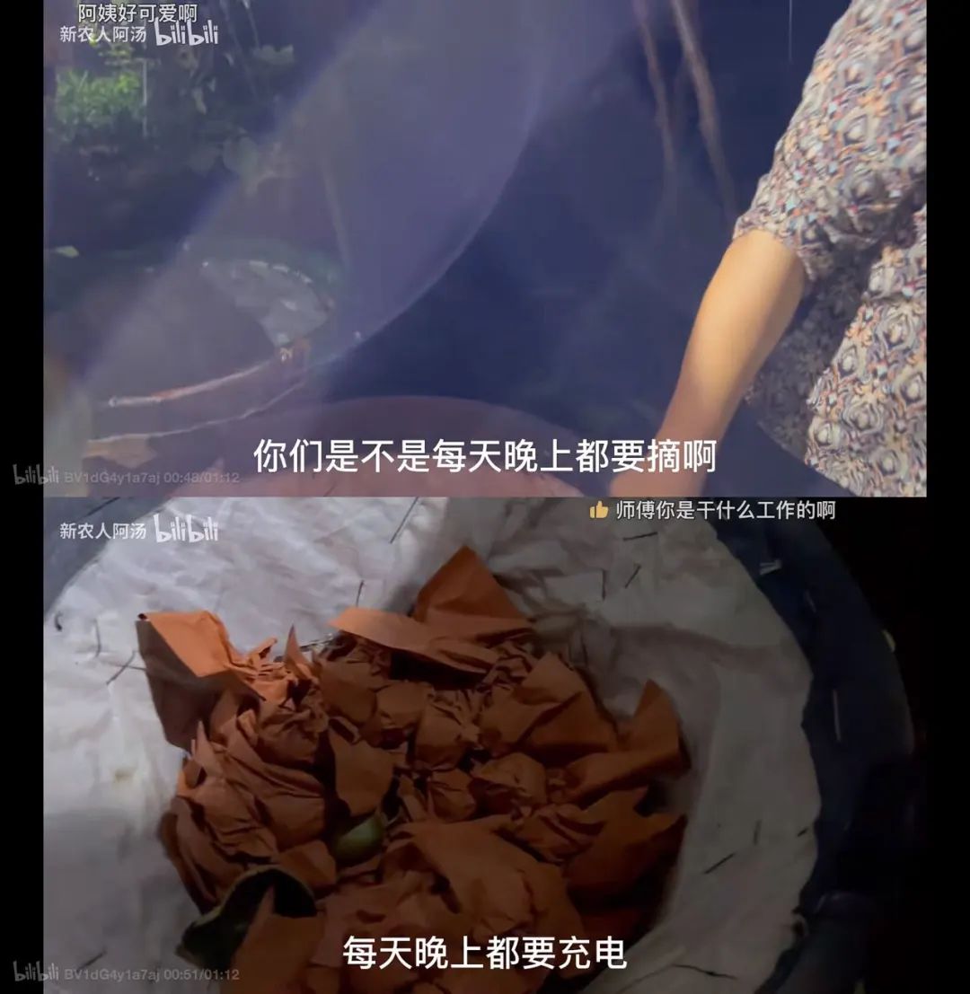 如何利用互联网+打造现代农业,现代化农业种植新模式