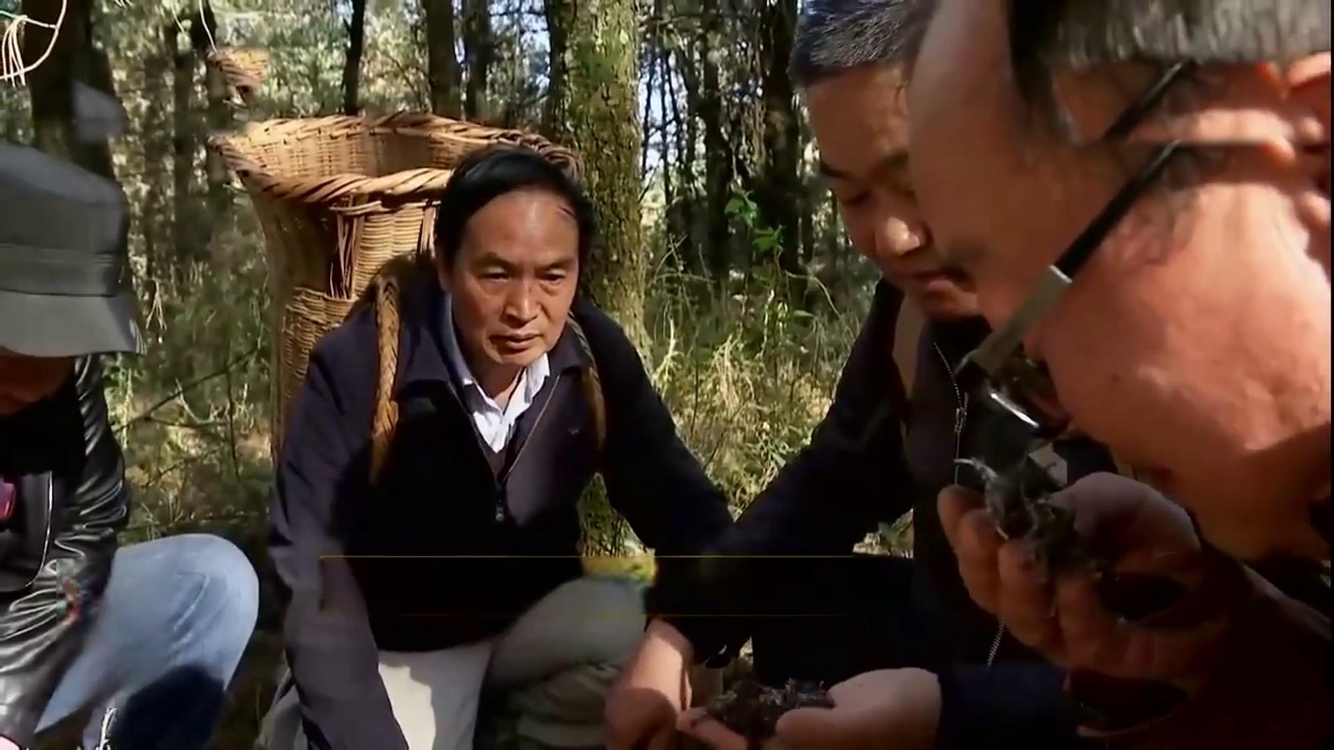 在河南挖土疙瘩,大山挖出一物多少钱