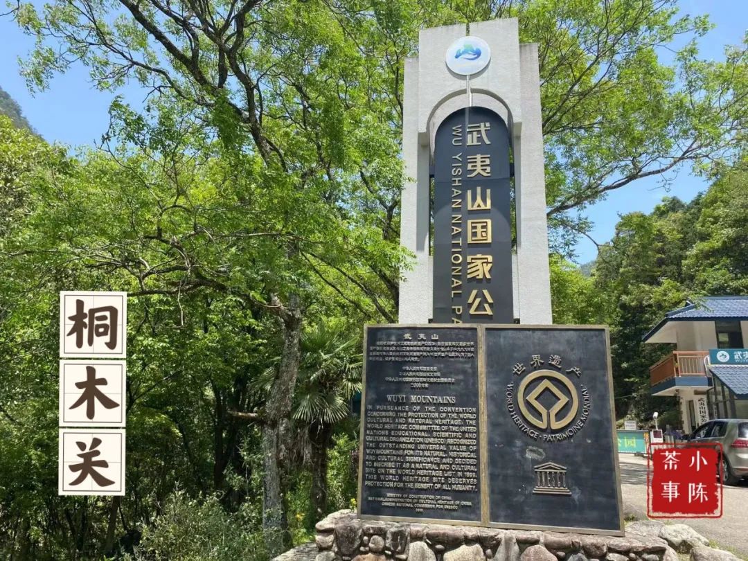 同样是金骏眉为啥桐木关的比较贵,金骏眉武夷山桐木关