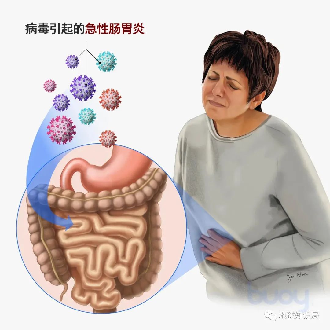 没洗干净的猪大肠到底臭不臭,猪大肠3年没洗是真的吗