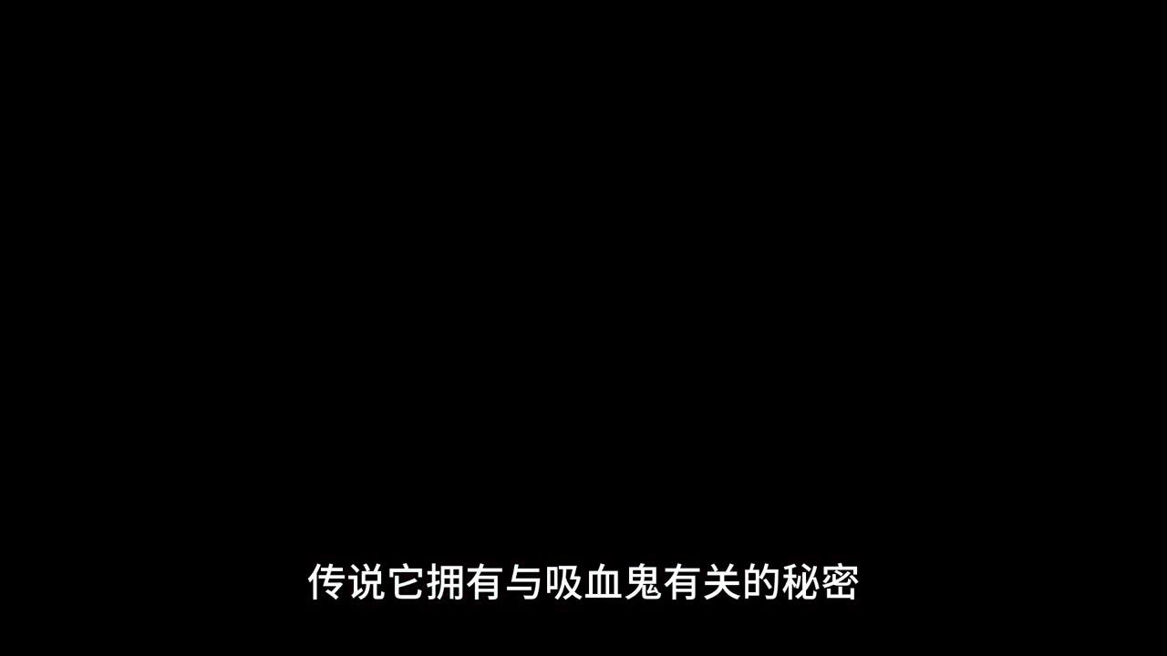 幽灵庄园的秘密5第27关,幽灵庄园的秘密4