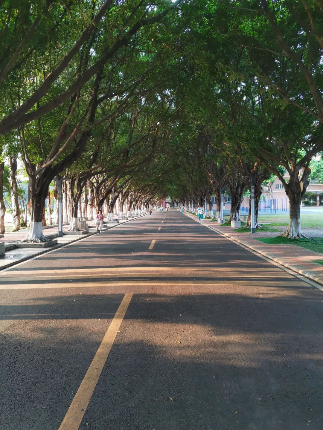 性价比高的选学校网站,性价比比较高的低分学校