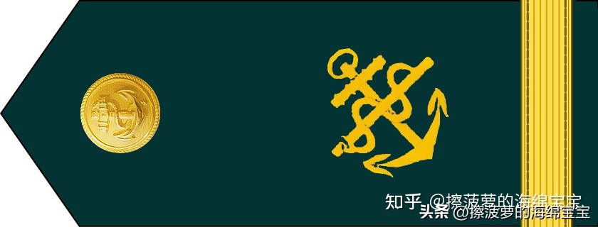 二战德国国防军医疗兵军衔标志