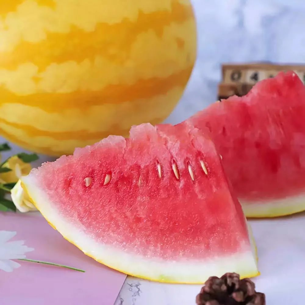 西瓜刺客41,西瓜刺客多少钱