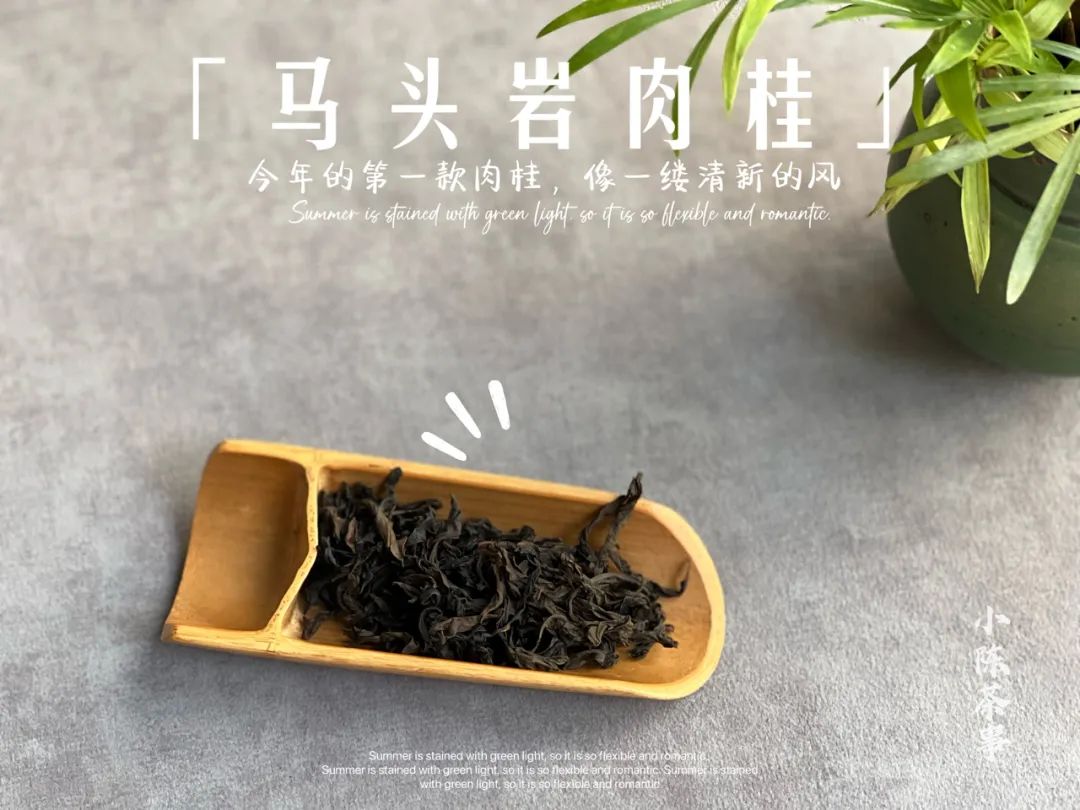 茶桌上必备物品有哪些,茶桌上各种物品介绍