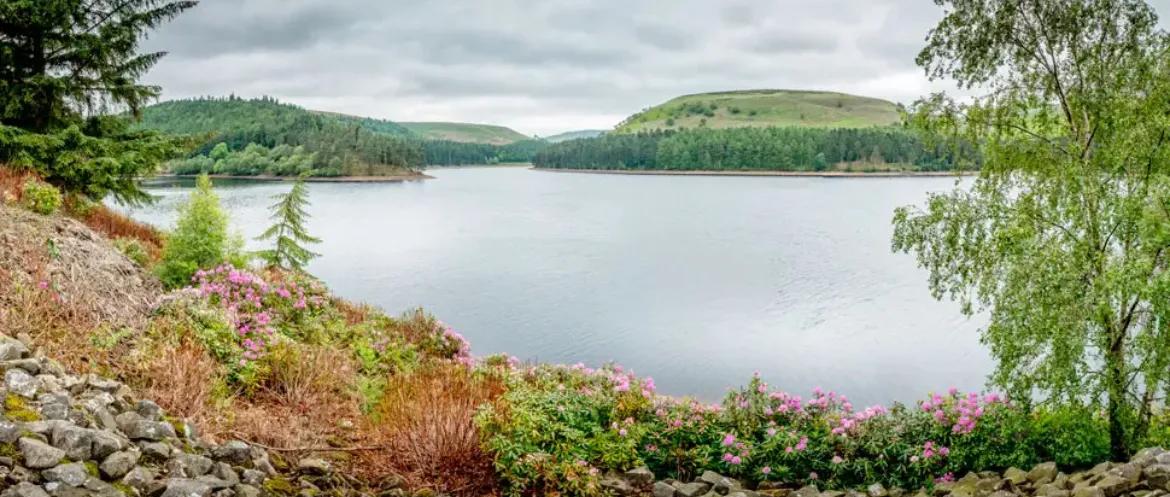 心理学有趣的小法则,三个心理学小技巧交给你