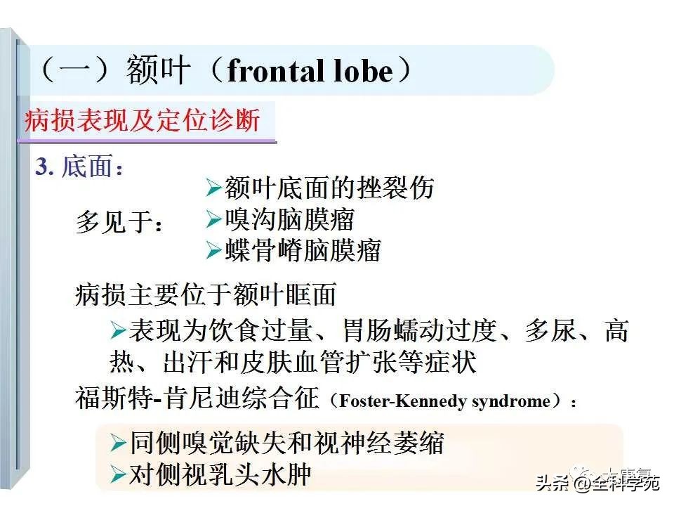 神经系统的影像与解剖定位,最全神经解剖图
